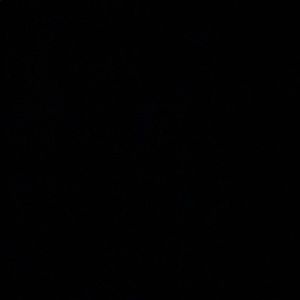 Meet your Posher, Noe